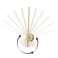Дополнительная картинка Настенный светильник Crystal Lux 3721/405N