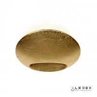 Настенный светодиодный светильник iLedex Light Flux ZD8152-6W Gold
