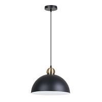 подвесной светильник arte lamp recinto a7053sp-1bk, доставка по Казахстану 