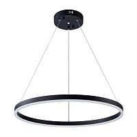 Дополнительная картинка Светильник Arte Lamp SIREN A2548SP-45BK