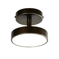 Дополнительная картинка Потолочный светильник Atma 3060-1P