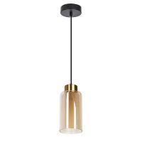 Дополнительная картинка Подвесной светильник Arte Lamp LEO A7027SP-1BK