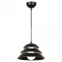 Дополнительная картинка Подвесной светильник Lussole Loft Beijing LSP-8131