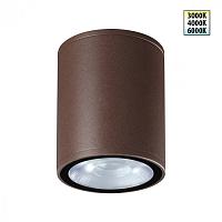 359536 Novotech Светильник ландшафтный с переключ. цветовой температуры IP65 LED 10W 100-240V 3000К\4000К\6000К TUMBLER
