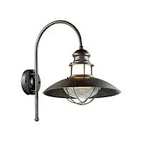 Уличный настенный светильник Odeon Light Nature Dante 4164/1WA светильники