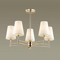 Дополнительная картинка Подвесная люстра Lumion Neoclassi Doris 4436/5C