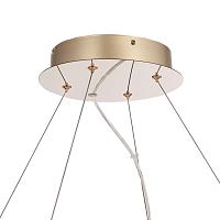 Дополнительная картинка SL6135.223.01 Люстра ST-Luce LIGHTSOME