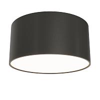 Дополнительная картинка Потолочный светильник Technical C032CL-12W3K-RD-B