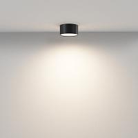 Дополнительная картинка Потолочный светильник Technical C032CL-12W3K-RD-B