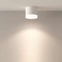 Дополнительная картинка Потолочный светильник Technical C087CL-GX53-W