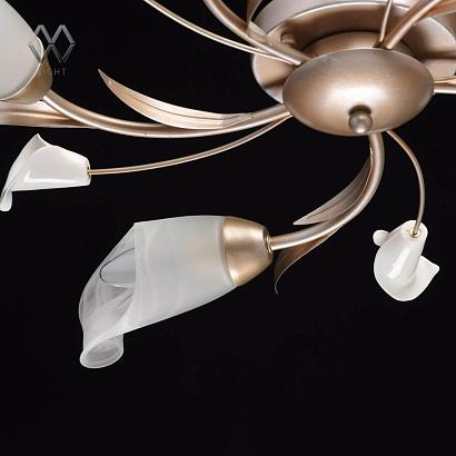 Потолочные Потолочный светильник MW-Light Восторг 19 242016205, доставка по Казахстану 