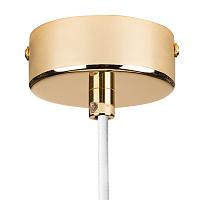 Дополнительная картинка Подвесной светильник Lightstar Dumo 816016