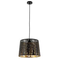 Дополнительная картинка Подвесной светильник Arte Lamp Celesta A2769SP-1BK