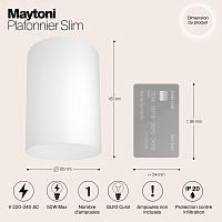 Дополнительная картинка Потолочный светильник Maytoni Alfa C014CL-01W