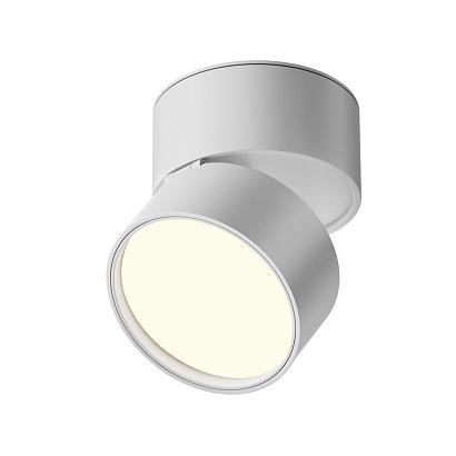 Потолочный светильник Technical C024CL-12W4K-W-1 купить в Алматы svet.kz