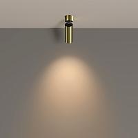 Дополнительная картинка Потолочный светильник Technical C055CL-L12W3K-W-BS