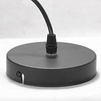 Дополнительная картинка Подвесной светильник Lussole Lgo Bossier LSP-8273
