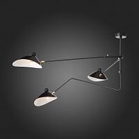Дополнительная картинка Потолочная люстра ST Luce Spruzzo SL305.402.03