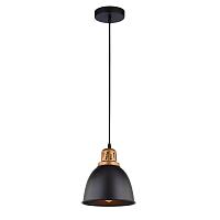 Дополнительная картинка Подвесной светильник Arte Lamp Eurica A4245SP-1BK