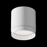 Дополнительная картинка Потолочный светильник Technical C088CL-GX53-W