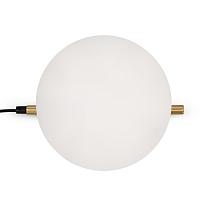 Дополнительная картинка Настольный светильник Freya FR5259TL-01BS