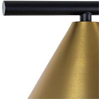 Дополнительная картинка Напольный светильник Arte Lamp DAVID A7033PN-1BK