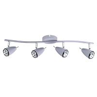 Дополнительная картинка Настенно-потолочный светильник Arte Lamp Regista A1966PL-4GY