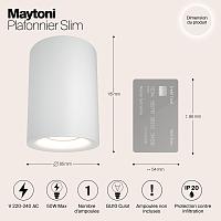 Дополнительная картинка Потолочный светильник Maytoni Alfa C012CL-01W