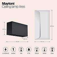Дополнительная картинка Потолочный светильник Outdoor O309CL-L10GF3K