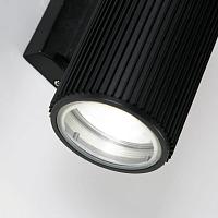 Дополнительная картинка Уличный настенный светильник Favourite Pola 2858-2W