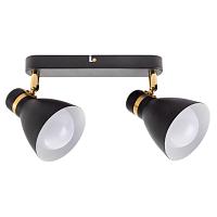 Потолочный светильник Arte Lamp FAFNIR A5047PL-2BK