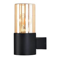 Настенный уличный светильник Arte Lamp SEGINUS A6515AL-1BK светильники