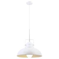Дополнительная картинка Подвесной светильник Arte Lamp Martin A5213SP-1WG