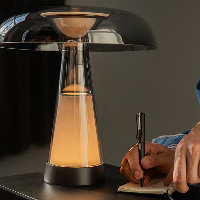 Настольный светильник Maytoni MOD484TL-L8BK Artefact