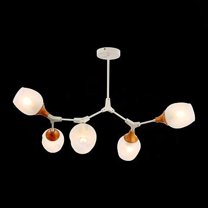 потолочная люстра evoluce ciotolla sle113502-05, доставка по Казахстану 