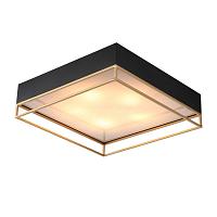 Дополнительная картинка Потолочный светильник ST Luce Chodo SL1127.422.05