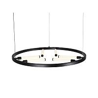 Дополнительная картинка Подвесная светодиодная люстра ST Luce Bisaria SL393.403.06