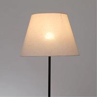 Дополнительная картинка Торшер Arte Lamp ALEA A5068PN-1BK