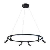 Дополнительная картинка Подвесной светильник Arte Lamp RING A2186SP-1BK