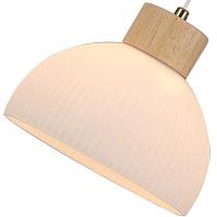 подвесной светильник arte lamp caprice a4184sp-1br, доставка по Казахстану 