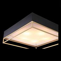 Дополнительная картинка Потолочный светильник ST Luce Chodo SL1127.422.05