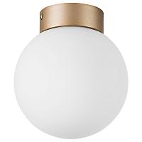 люстры 812013 (mx8131-1b-s ) люстра globo 1х40w e14 champagn gold/white (в комплекте), доставка по Казахстану 