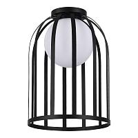 Дополнительная картинка SL6129.402.01 Светильник потолочный ST-Luce 