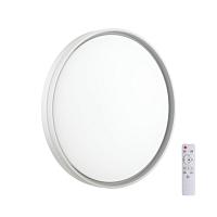 7631/DL PALE SN 043 Светильник пластик/белый/светло-серый LED 48Вт c ДУ 3000-6000К D390 IP43 пульт ДУ SAVI