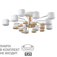 Дополнительная картинка 8196/10C Lumion Потолочный светильник RONDO