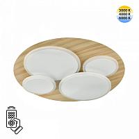 Дополнительная картинка 7734/60L Sonex Светильник пульт ДУ PINE