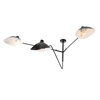 Дополнительная картинка Потолочная люстра ST Luce Spruzzo SL305.402.03