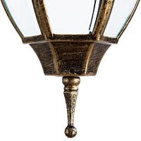 Дополнительная картинка Уличный подвесной светильник Arte Lamp Pegasus A3151SO-1BN