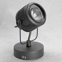 Дополнительная картинка Спот Lussole Loft Haines LSP-8045