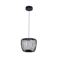 Дополнительная картинка Подвесной светильник Arte Lamp FLARE A3529SP-12BK